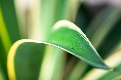 “SEGA十二月精选促销”开跑，《人中之龙８》限时特惠！